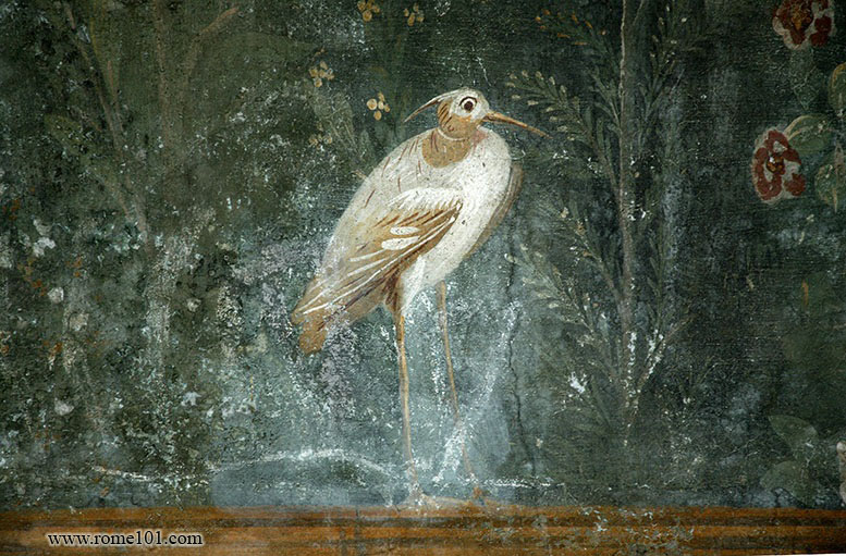 Fresco detail, Pompeii