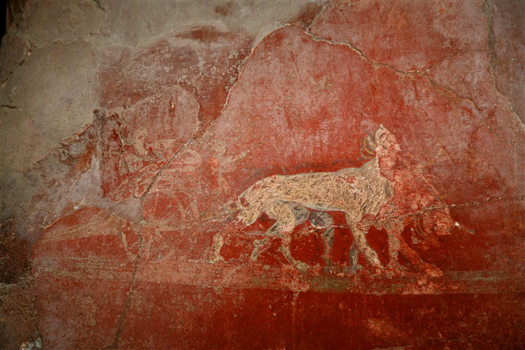 Fresco detail, Pompeii