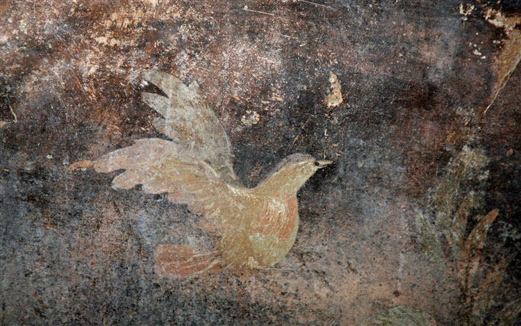 Fresco detail, Pompeii